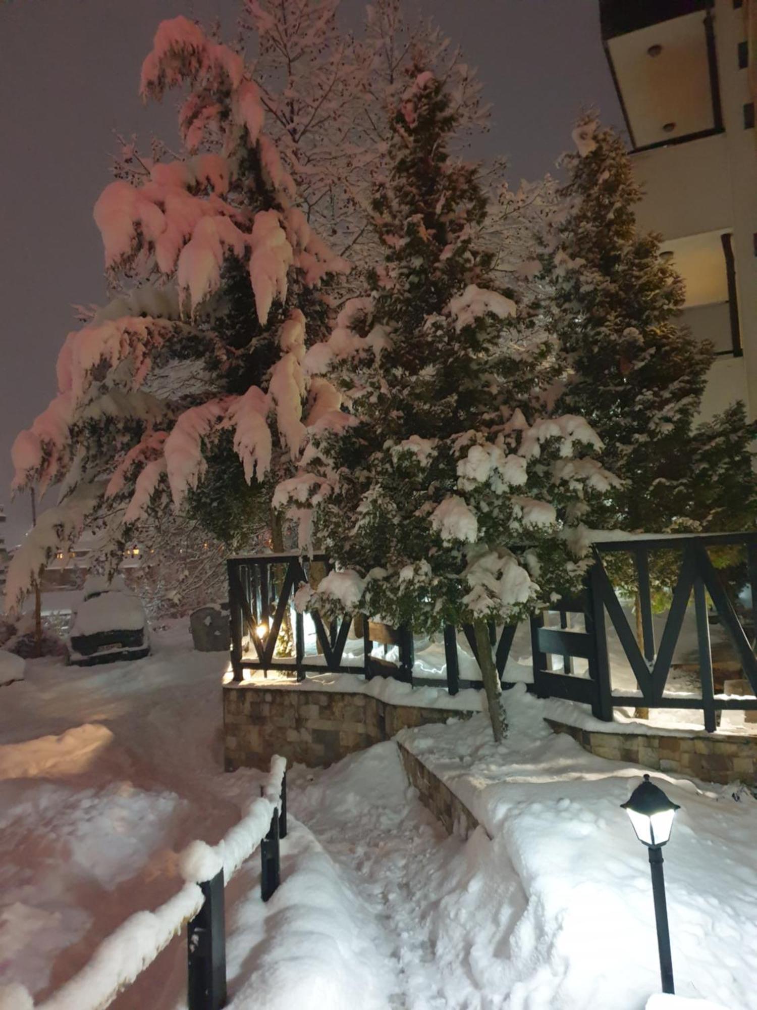 Dream Apart Hotel 207 バンスコ 部屋 写真